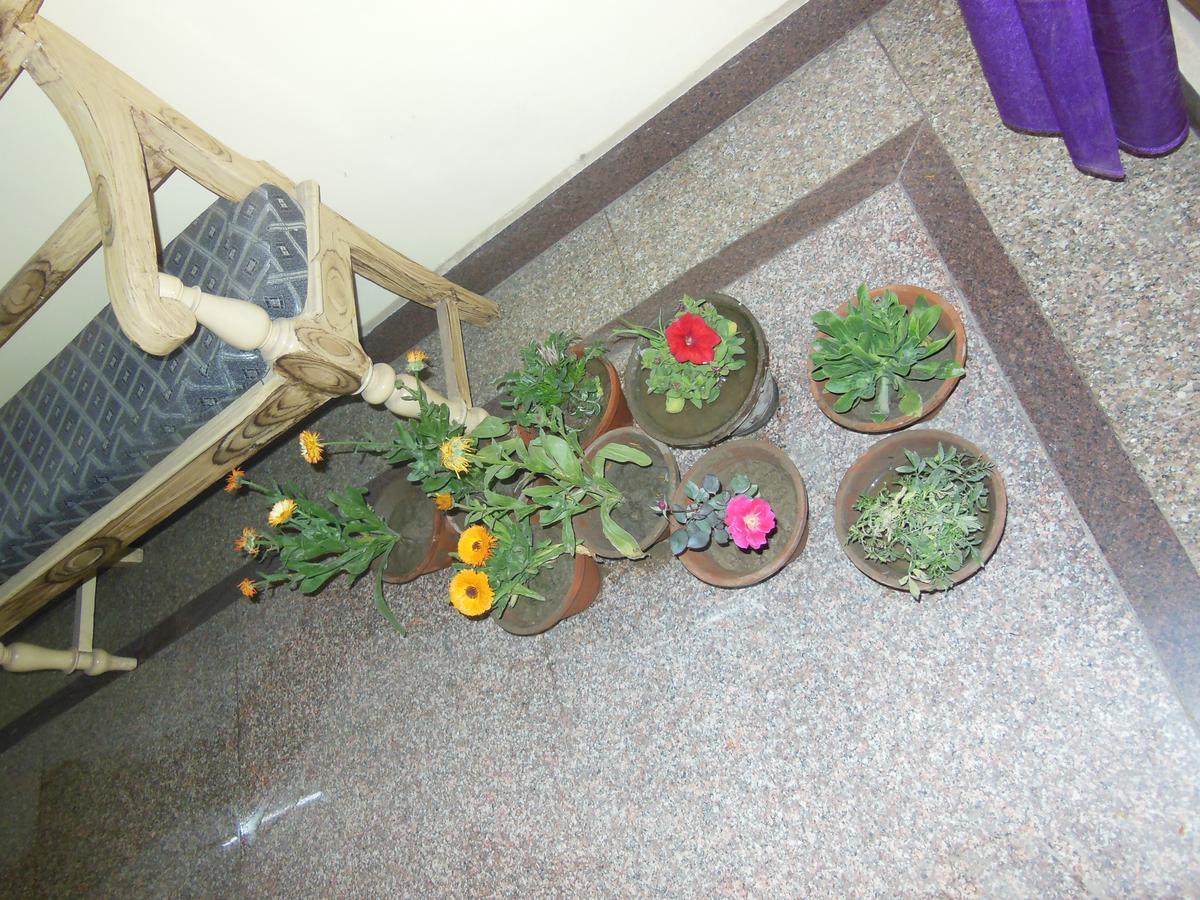 Shiva Inn Varanasi Esterno foto